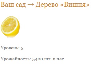��� ������ � ��� ��� 2